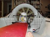  Rich Stuart Hovergarage Photo 38