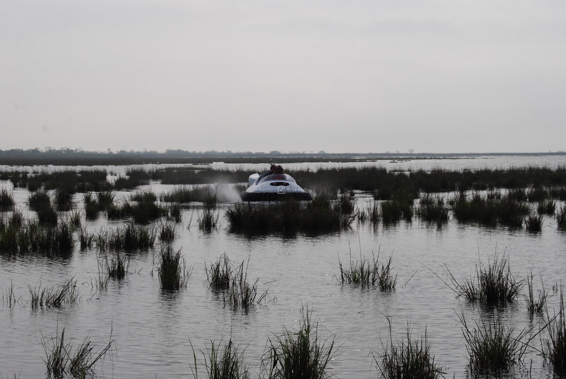 Neoteric Commercial Hovercraft training in tall grass marsh