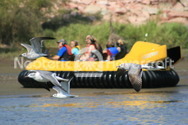 Banderas Bay Hover Tours