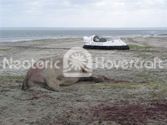 Hovercraft wildlife investigation
