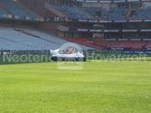 Extreme Fun on the field