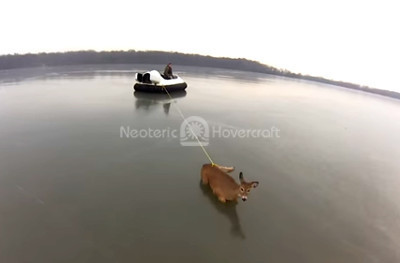 http://www.neoterichovercraft.com/news/news/Hovercraft-rescue-deer-from-ice.html
