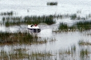 Hovercraft in Russia