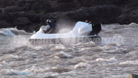 Picture Hovercraft India Magnus Imports