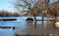 Image Hovercraft pilot training flood rescue
