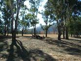 Black Mountain Peninsula wildlife