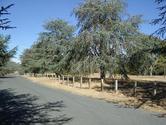The camping area